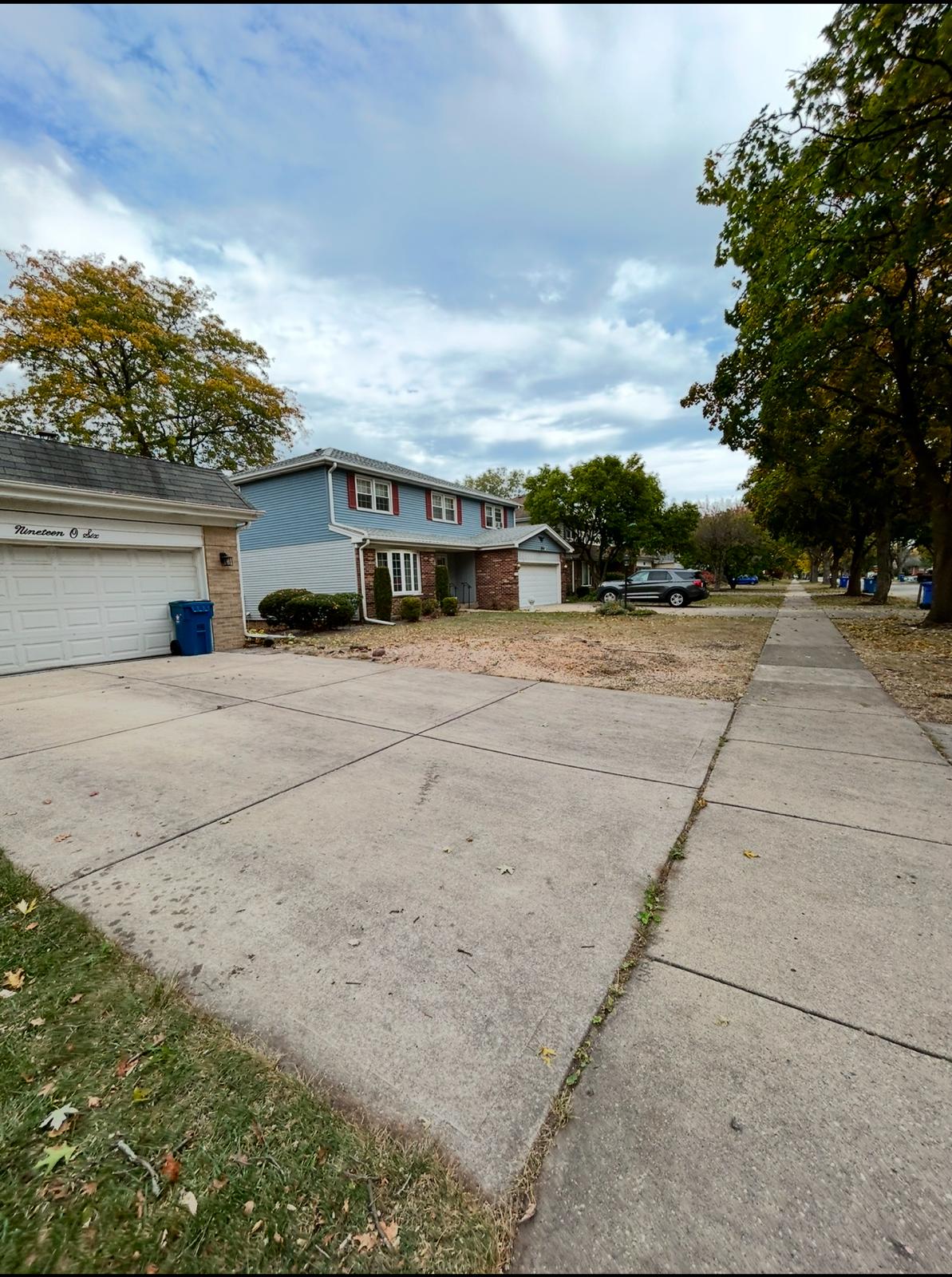 Trimmed tree in a backyard with clean surroundings